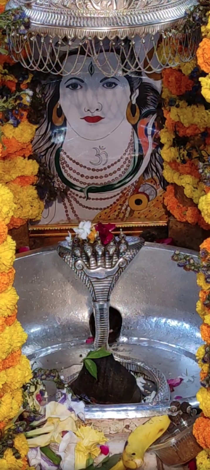Rudrabhishek to Shree Kubereshwar Mahadev