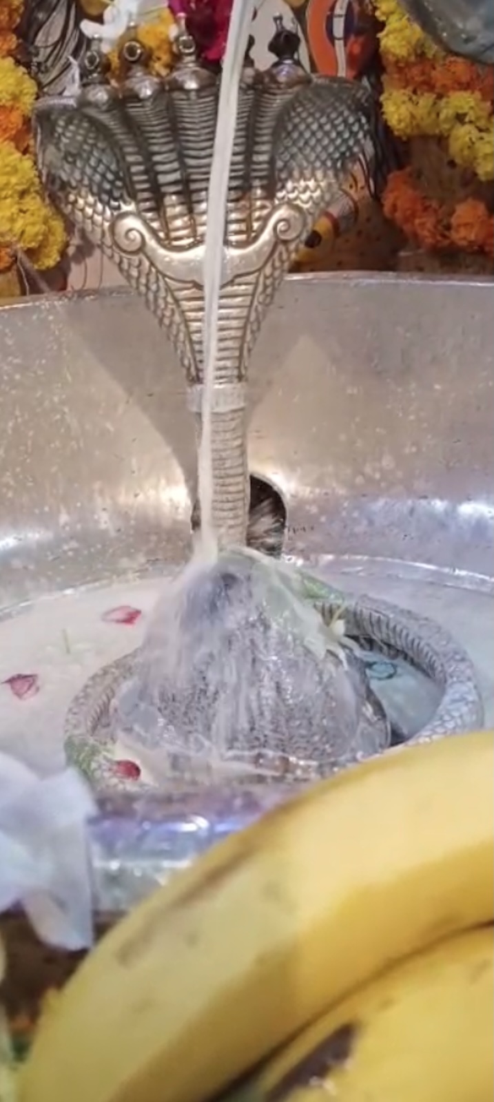 Rudrabhishek to Shree Kubereshwar Mahadev