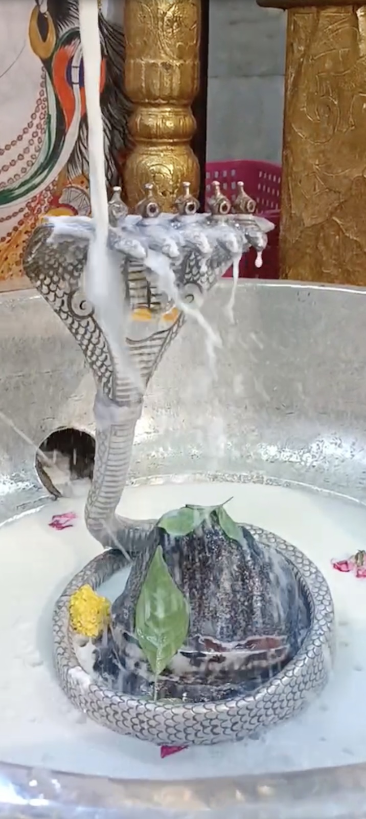 Rudrabhishek to Shree Kubereshwar Mahadev