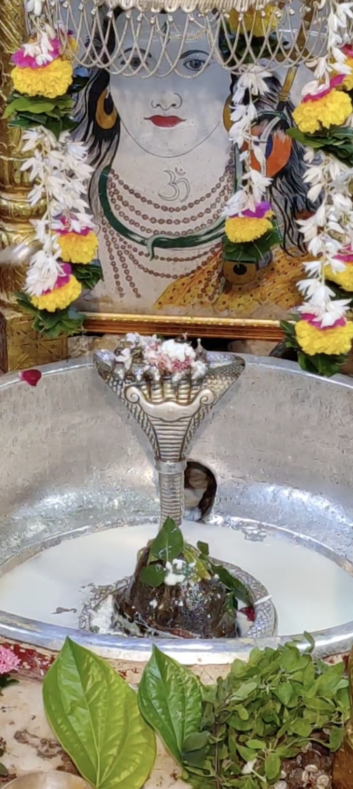 Rudrabhishek to Shree Kubereshwar Mahadev
