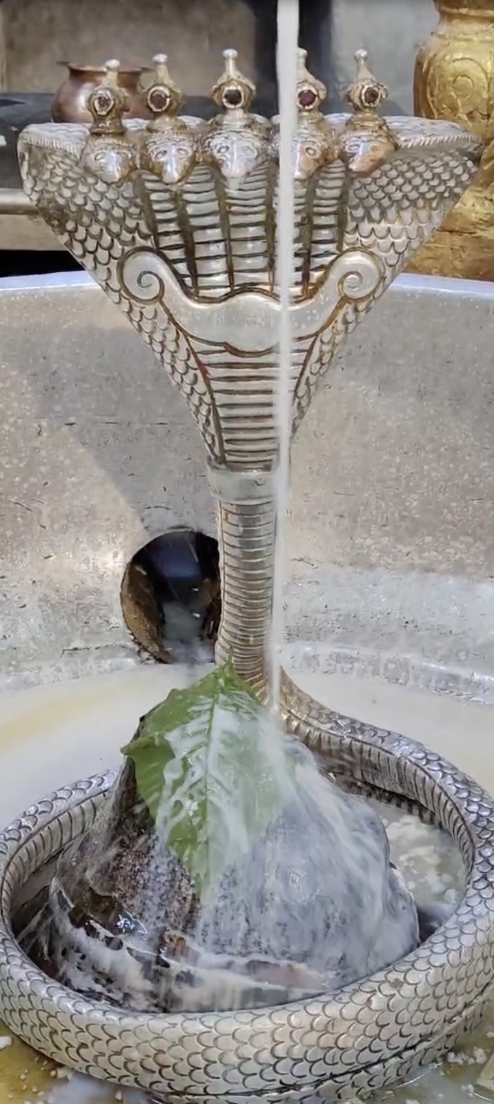 Rudrabhishek to Shree Kubereshwar Mahadev