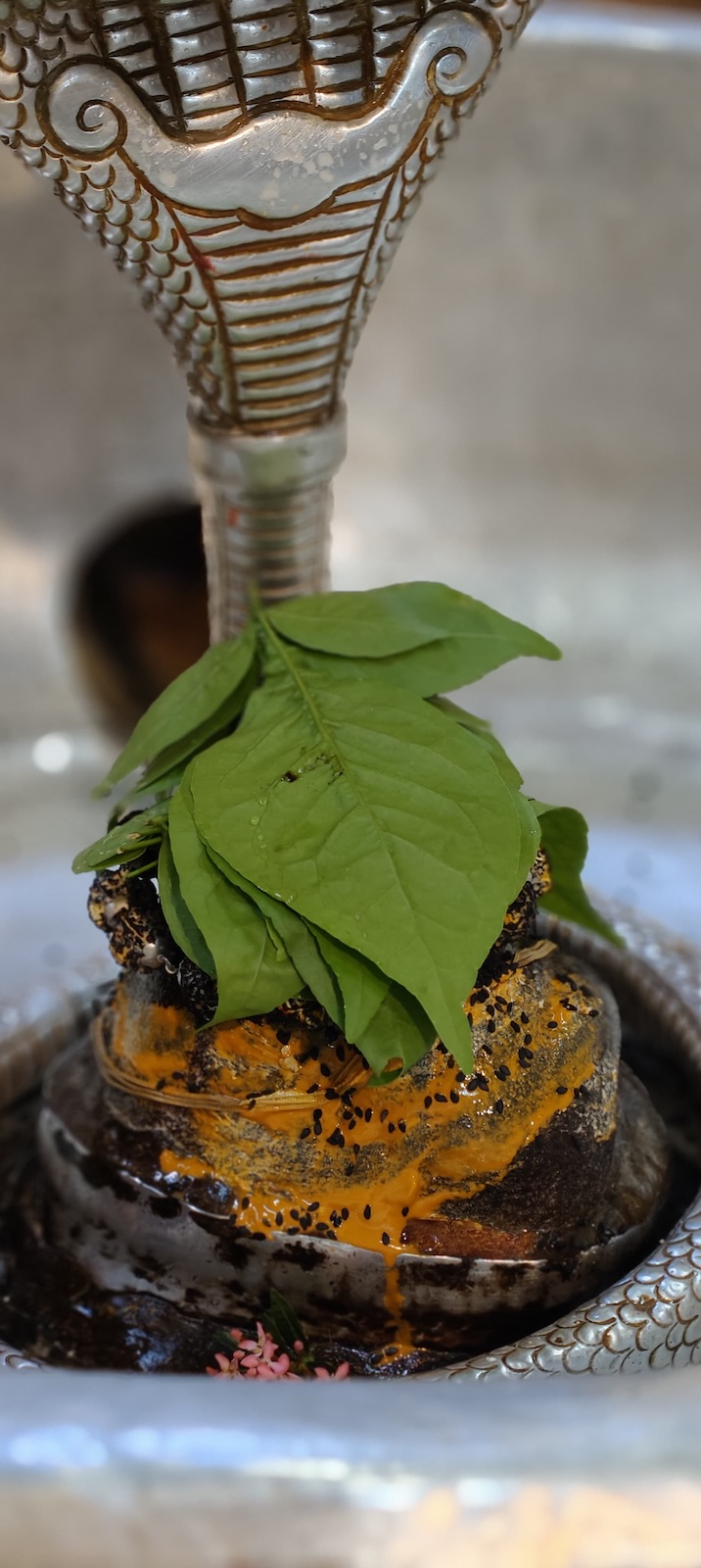 Rudrabhishek to Shree Kubereshwar Mahadev