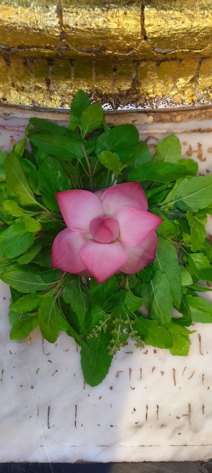 Mahalaxmi Mataji