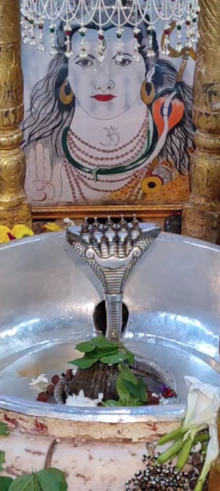 Rudrabhishek to Shree Kubereshwar Mahadev