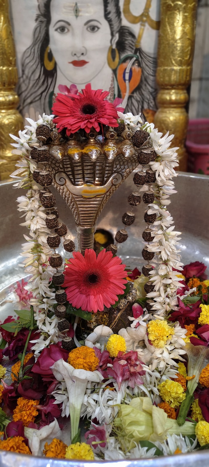 Rudrabhishek to Shree Kubereshwar Mahadev