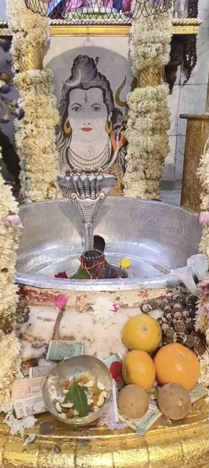 Rudrabhishek to Shree Kubereshwar Mahadev