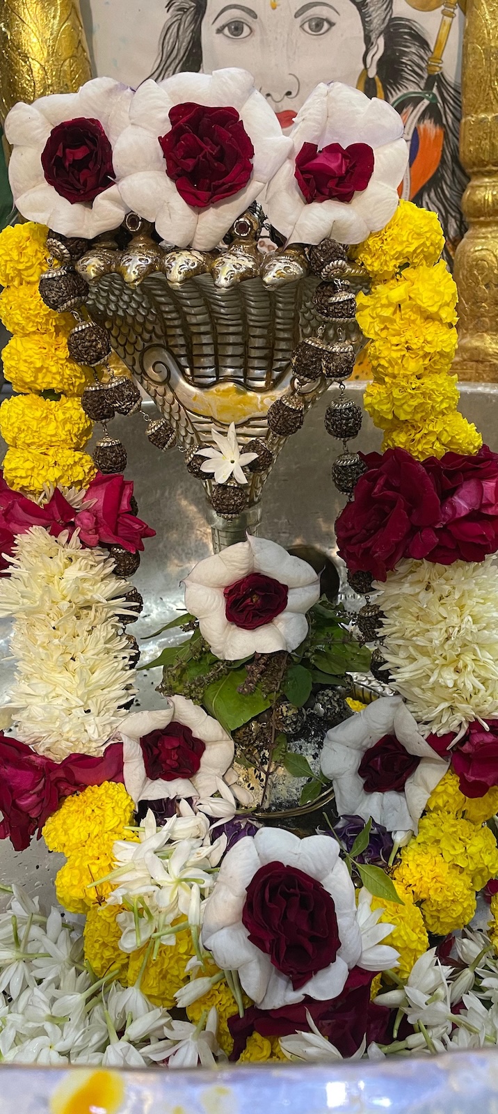 Rudrabhishek to Shree Kubereshwar Mahadev