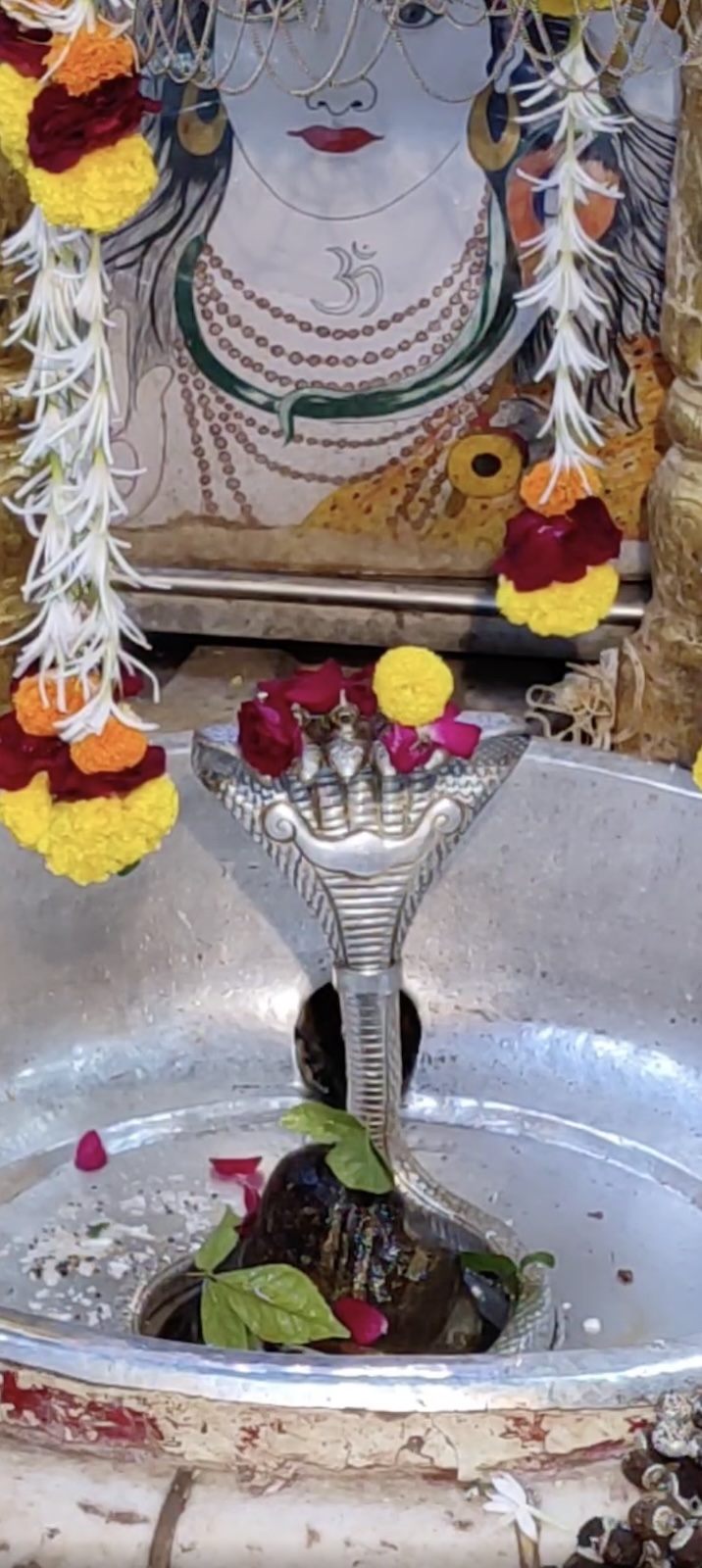 Rudrabhishek to Shree Kubereshwar Mahadev