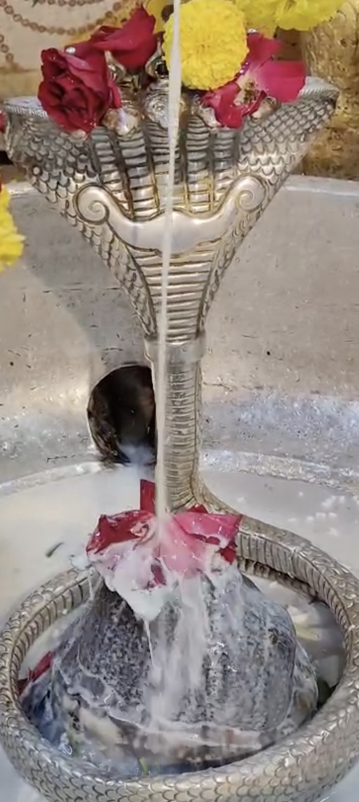 Rudrabhishek to Shree Kubereshwar Mahadev