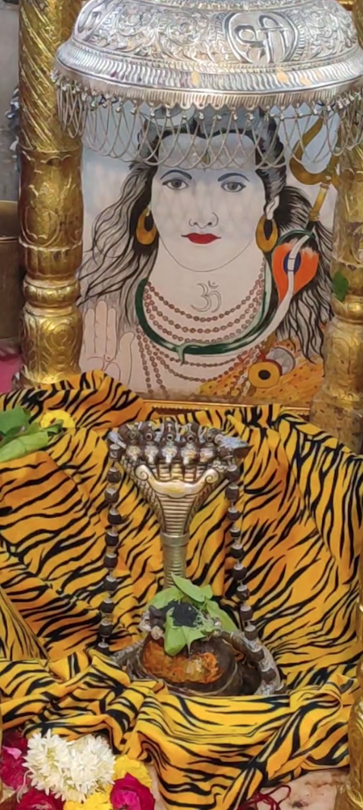 Rudrabhishek to Shree Kubereshwar Mahadev
