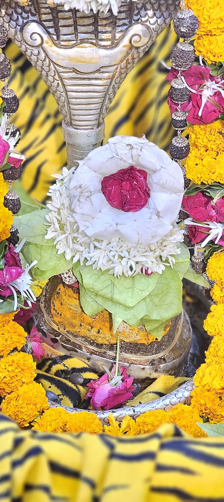 Rudrabhishek to Shree Kubereshwar Mahadev
