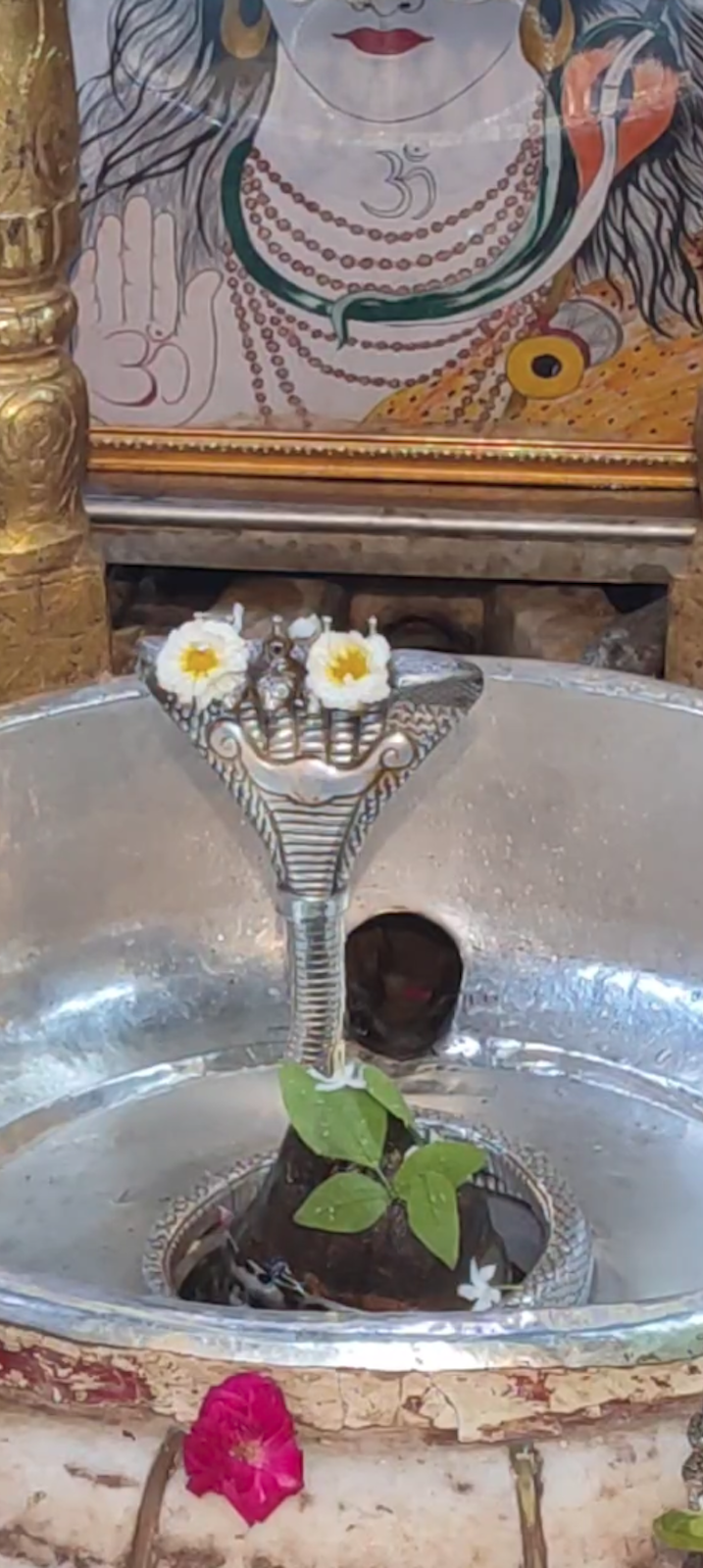 Rudrabhishek to Shree Kubereshwar Mahadev