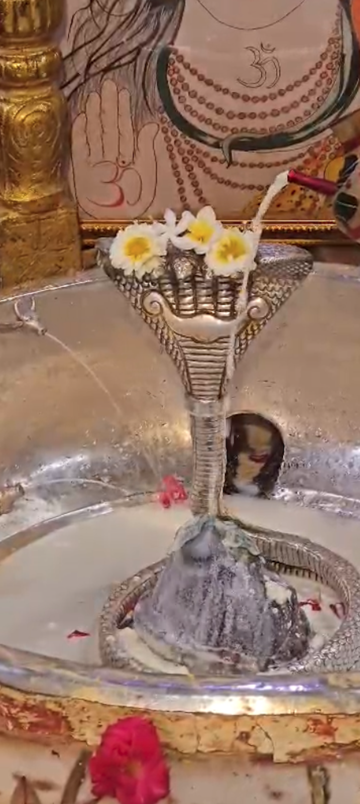 Rudrabhishek to Shree Kubereshwar Mahadev