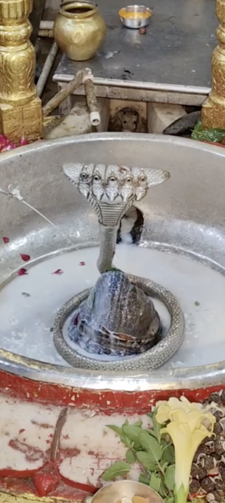 Rudrabhishek to Shree Kubereshwar Mahadev