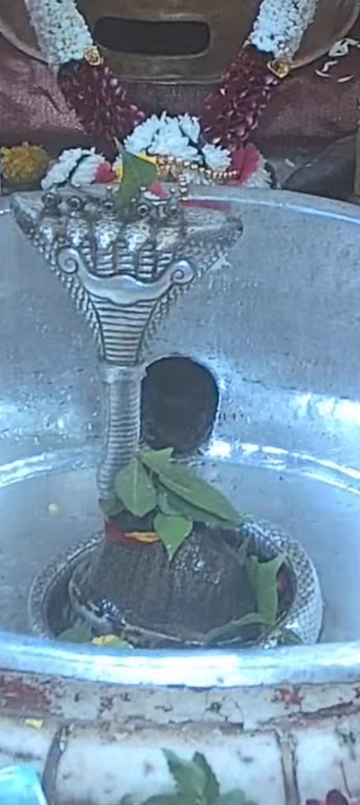 Rudrabhishek to Shree Kubereshwar Mahadev