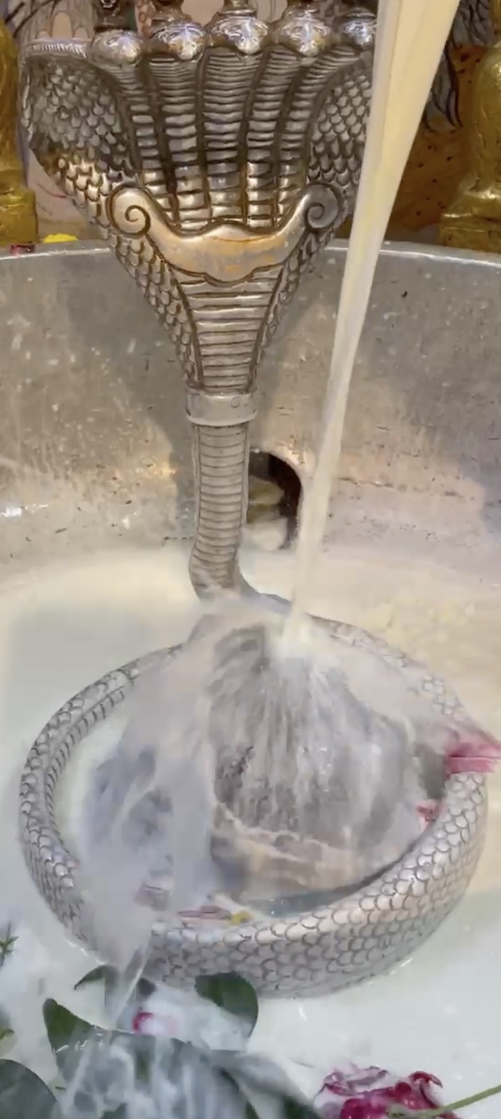 Rudrabhishek to Shree Kubereshwar Mahadev