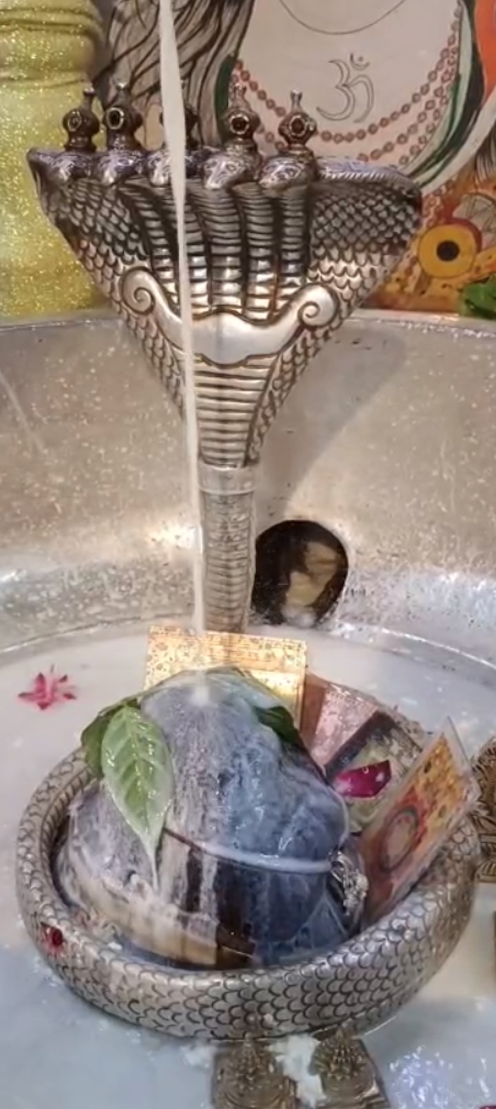 Rudrabhishek to Shree Kubereshwar Mahadev