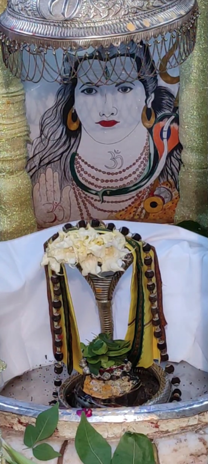 Rudrabhishek to Shree Kubereshwar Mahadev