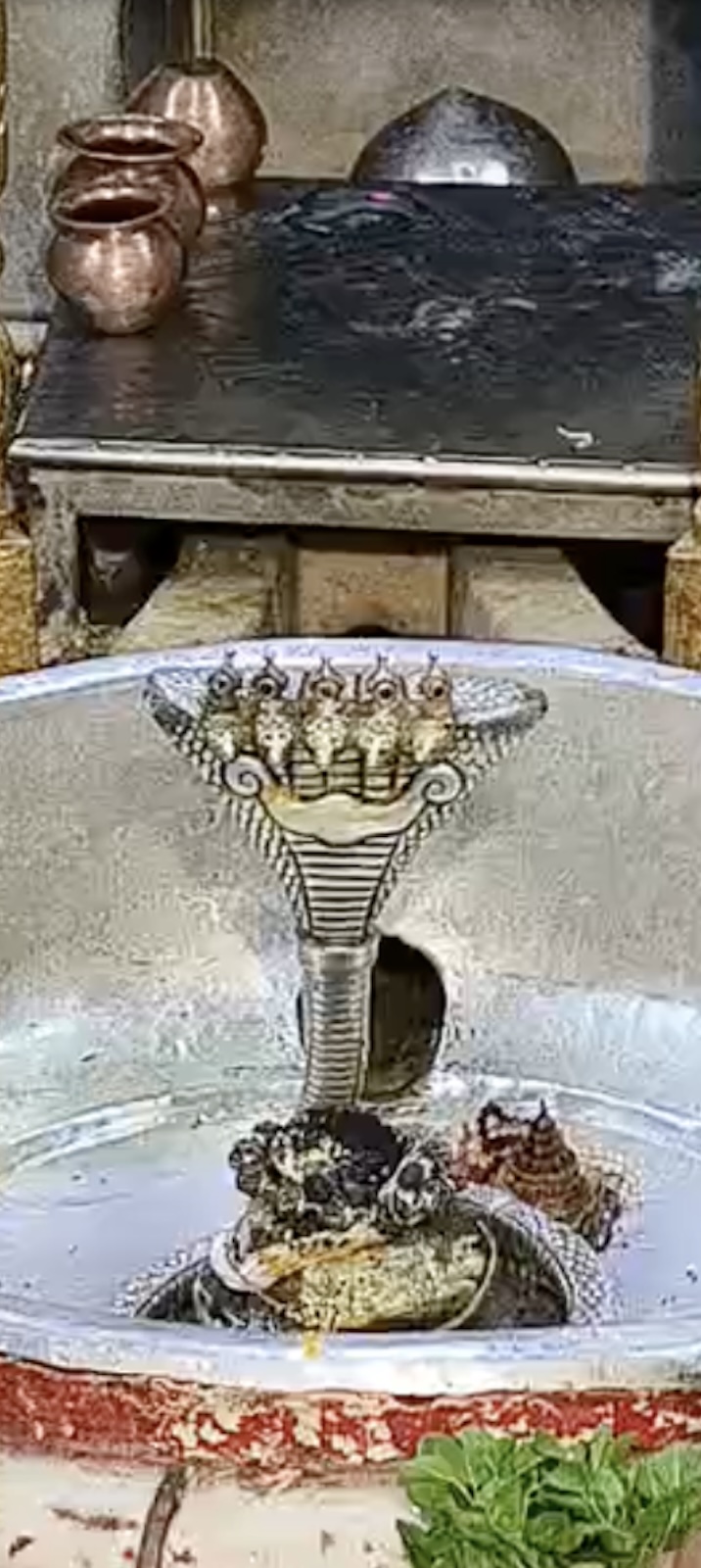 Rudrabhishek to Shree Kubereshwar Mahadev