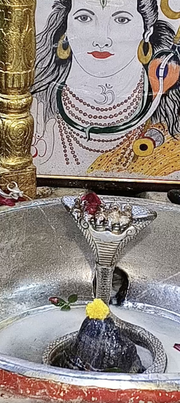 Rudrabhishek to Shree Kubereshwar Mahadev