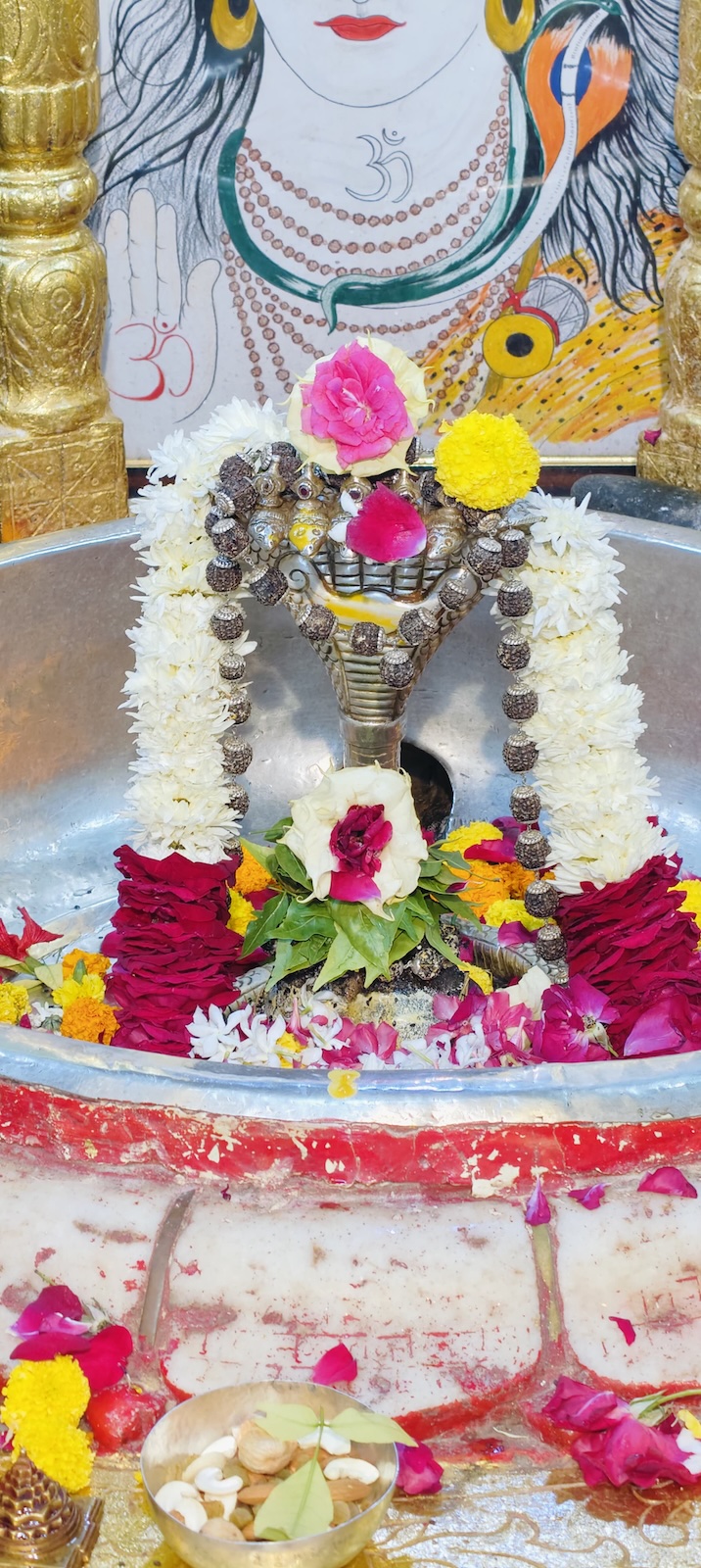 Rudrabhishek to Shree Kubereshwar Mahadev