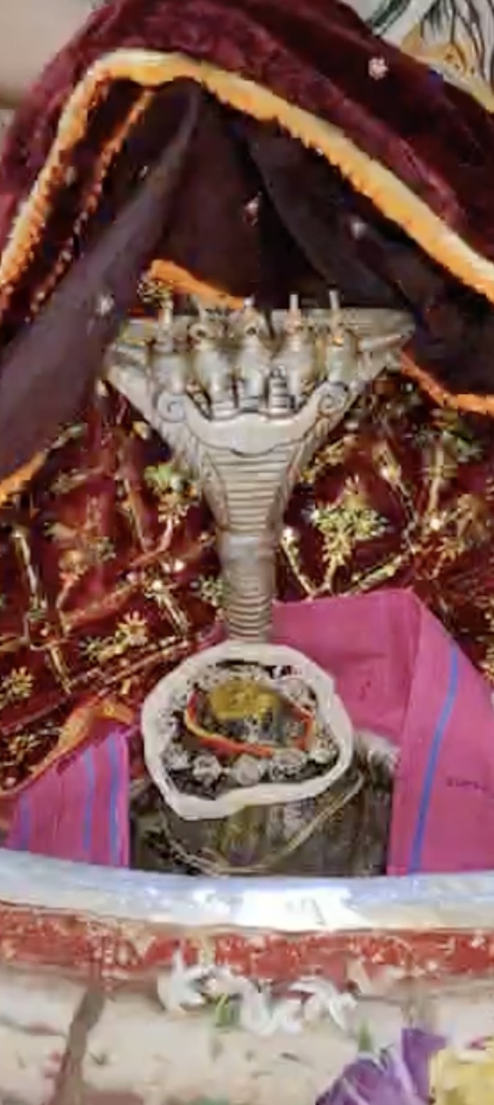 Rudrabhishek to Shree Kubereshwar Mahadev