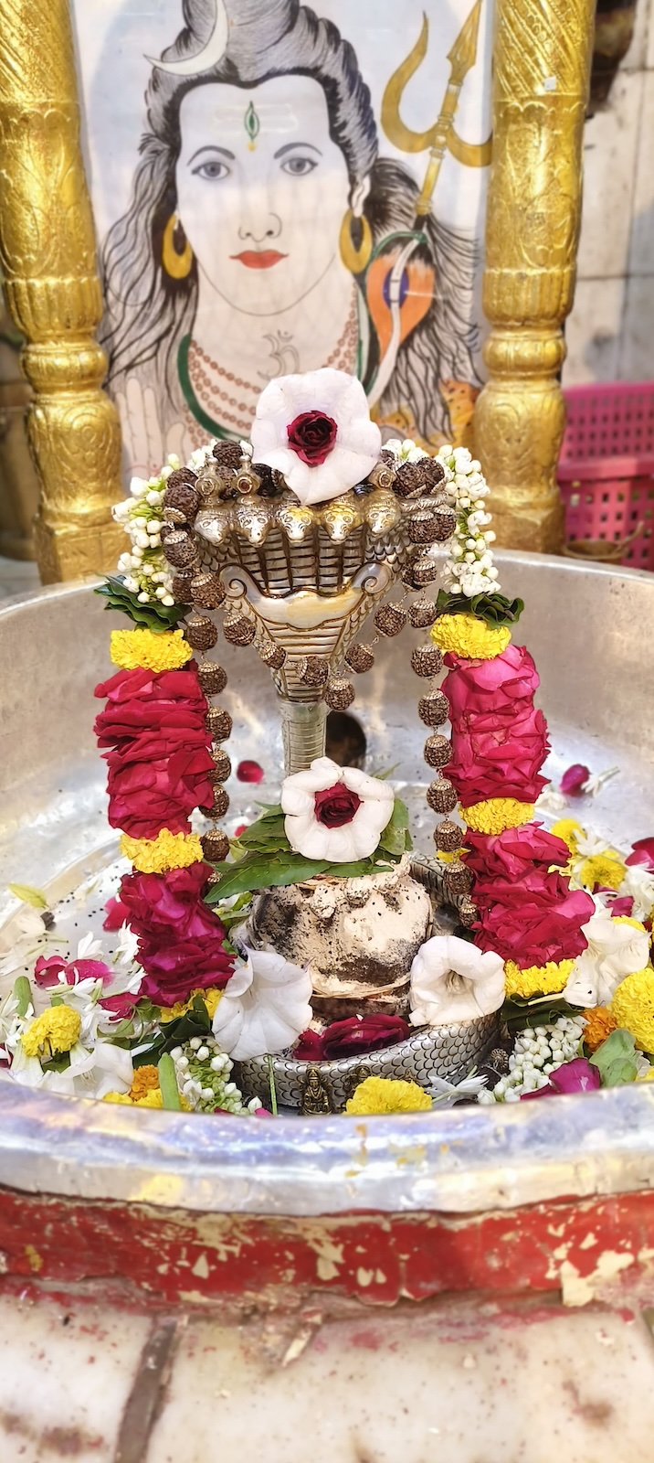 Rudrabhishek to Shree Kubereshwar Mahadev