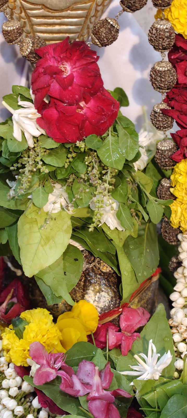 Rudrabhishek to Shree Kubereshwar Mahadev
