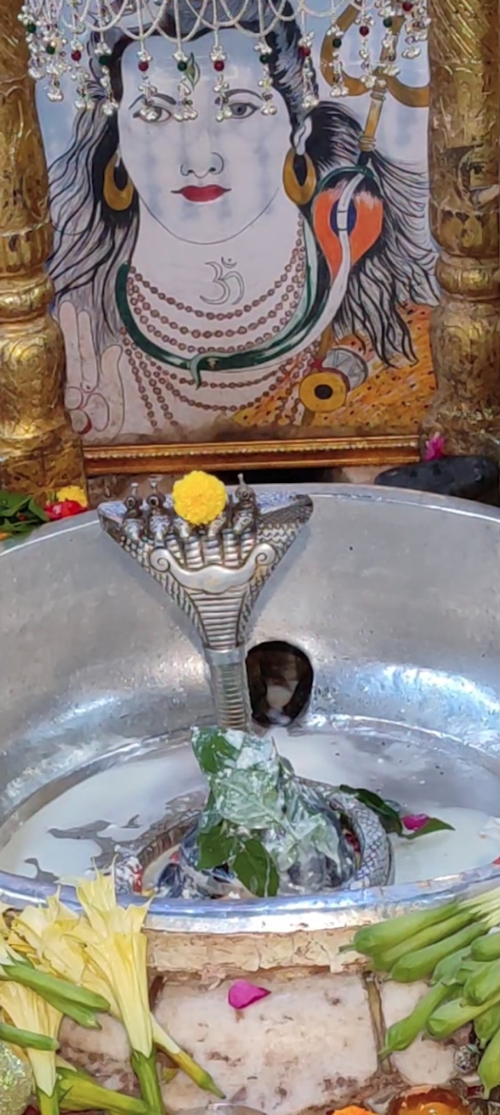 Rudrabhishek to Shree Kubereshwar Mahadev