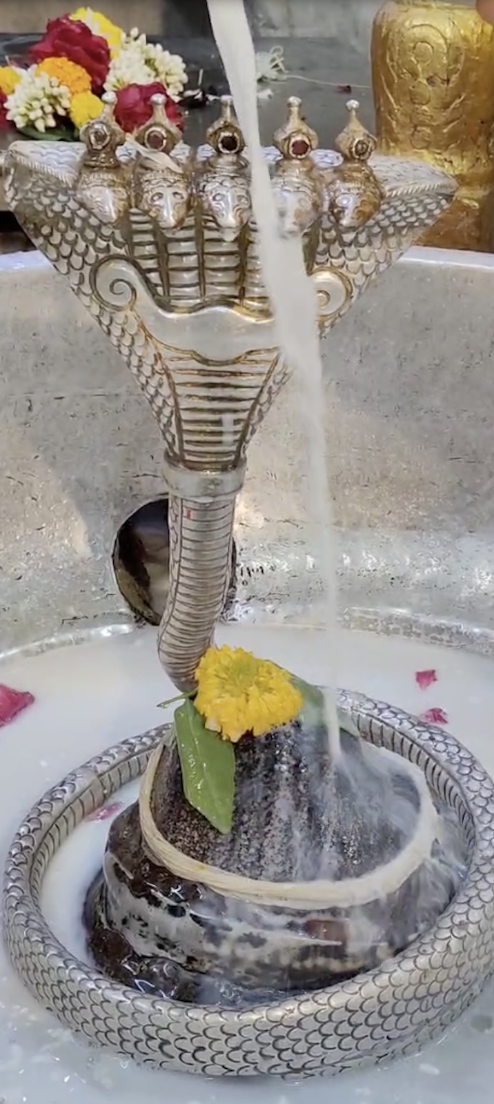 Rudrabhishek to Shree Kubereshwar Mahadev