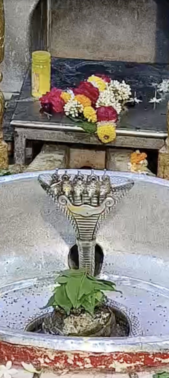 Rudrabhishek to Shree Kubereshwar Mahadev