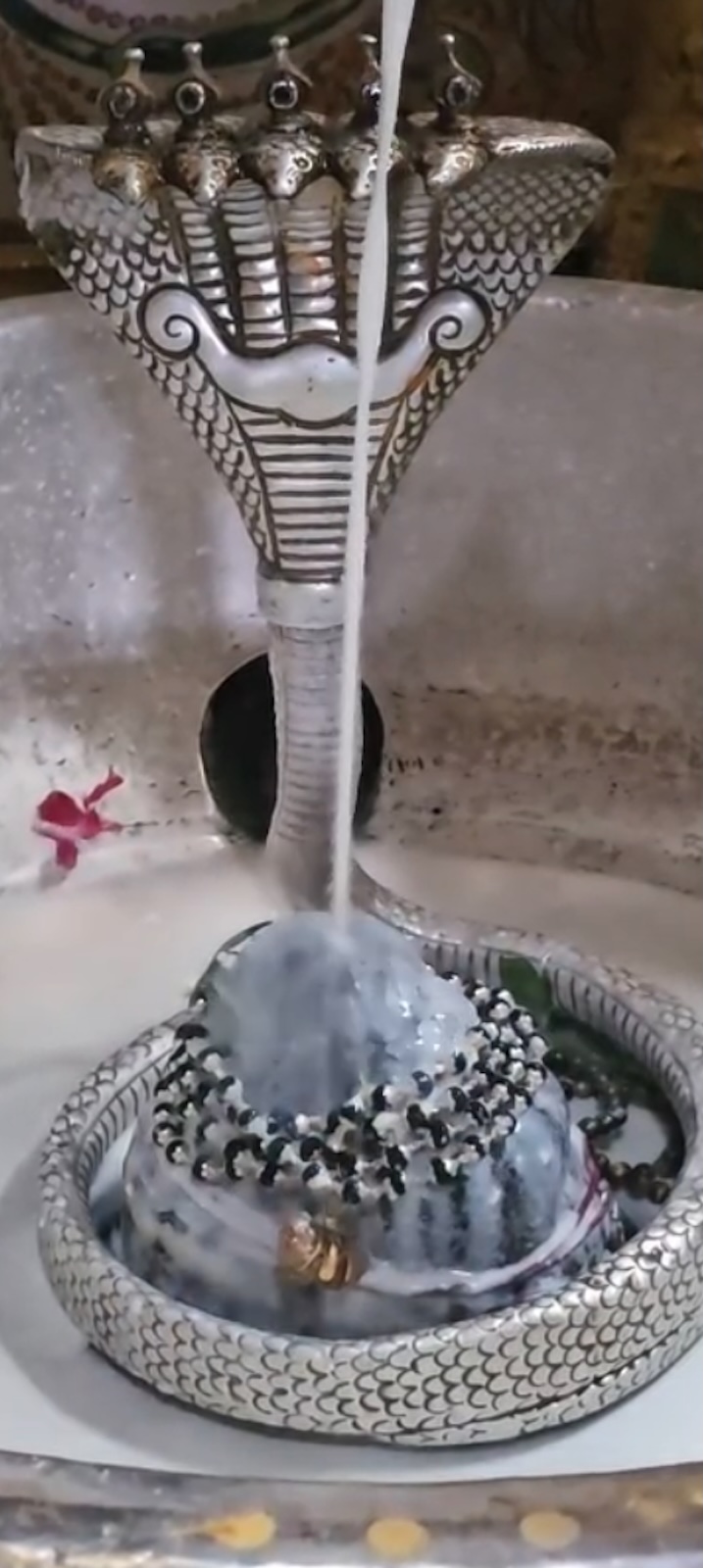 Rudrabhishek to Shree Kubereshwar Mahadev
