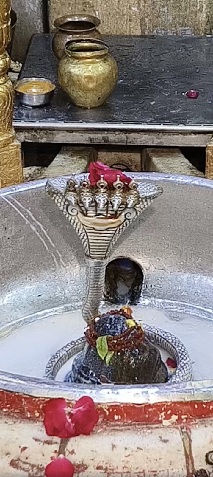 Rudrabhishek to Shree Kubereshwar Mahadev