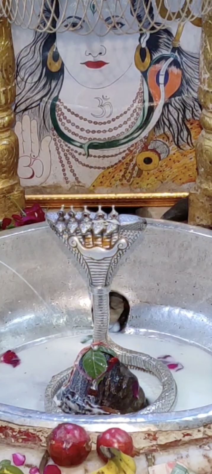 Rudrabhishek to Shree Kubereshwar Mahadev