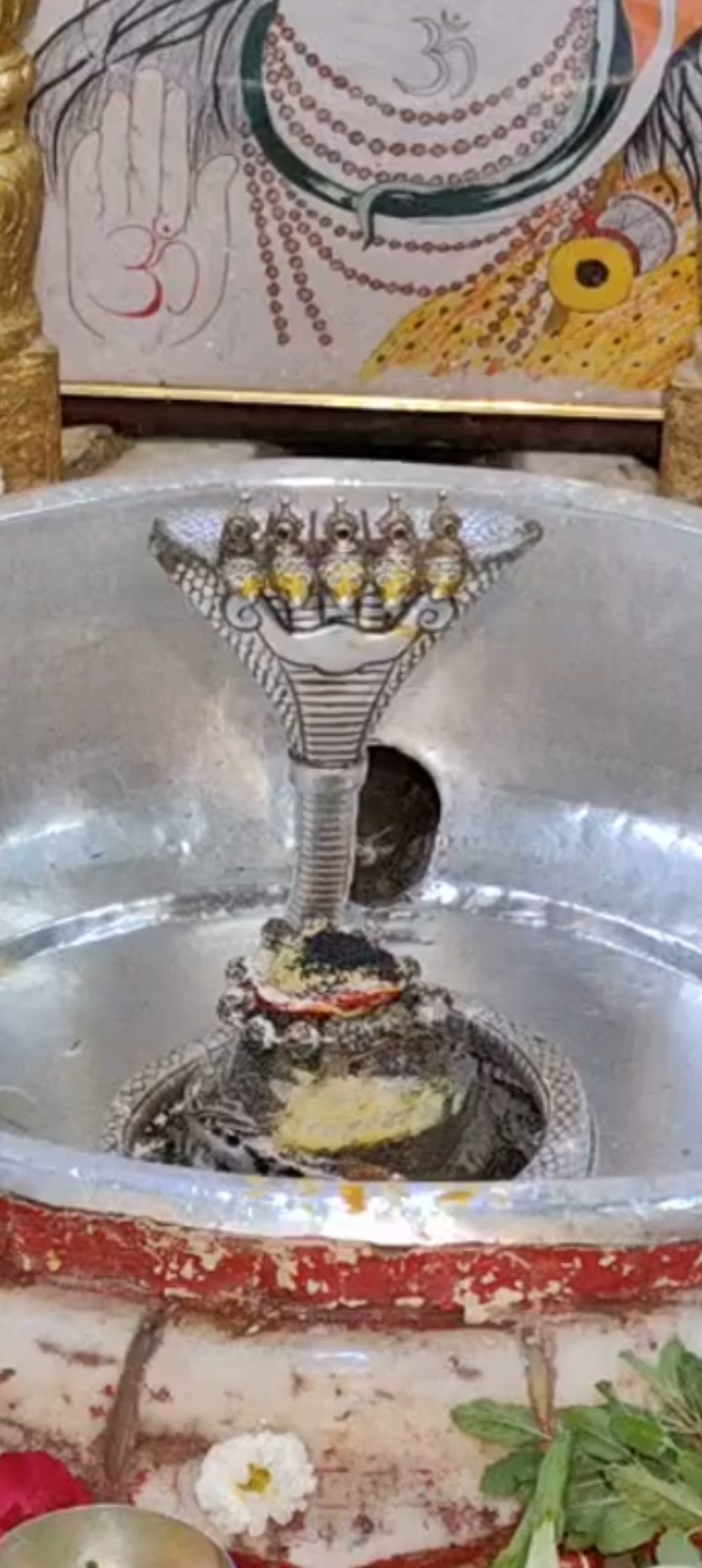 Rudrabhishek to Shree Kubereshwar Mahadev