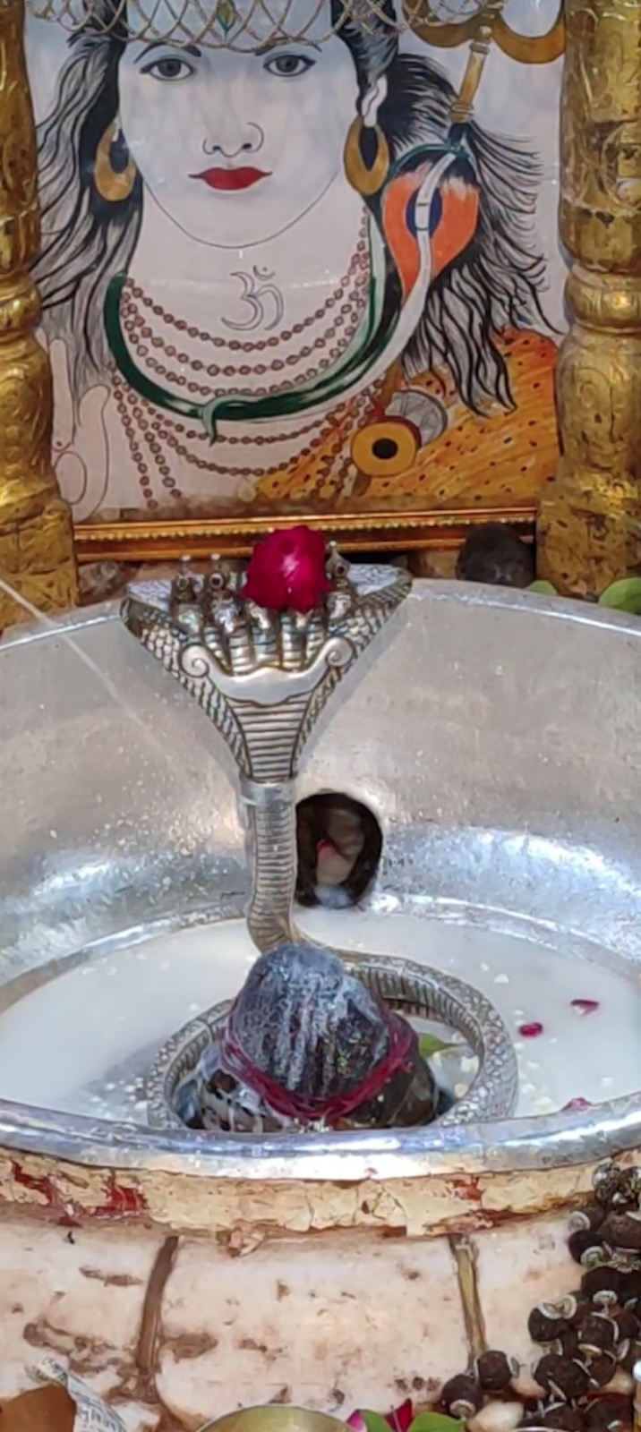 Rudrabhishek to Shree Kubereshwar Mahadev