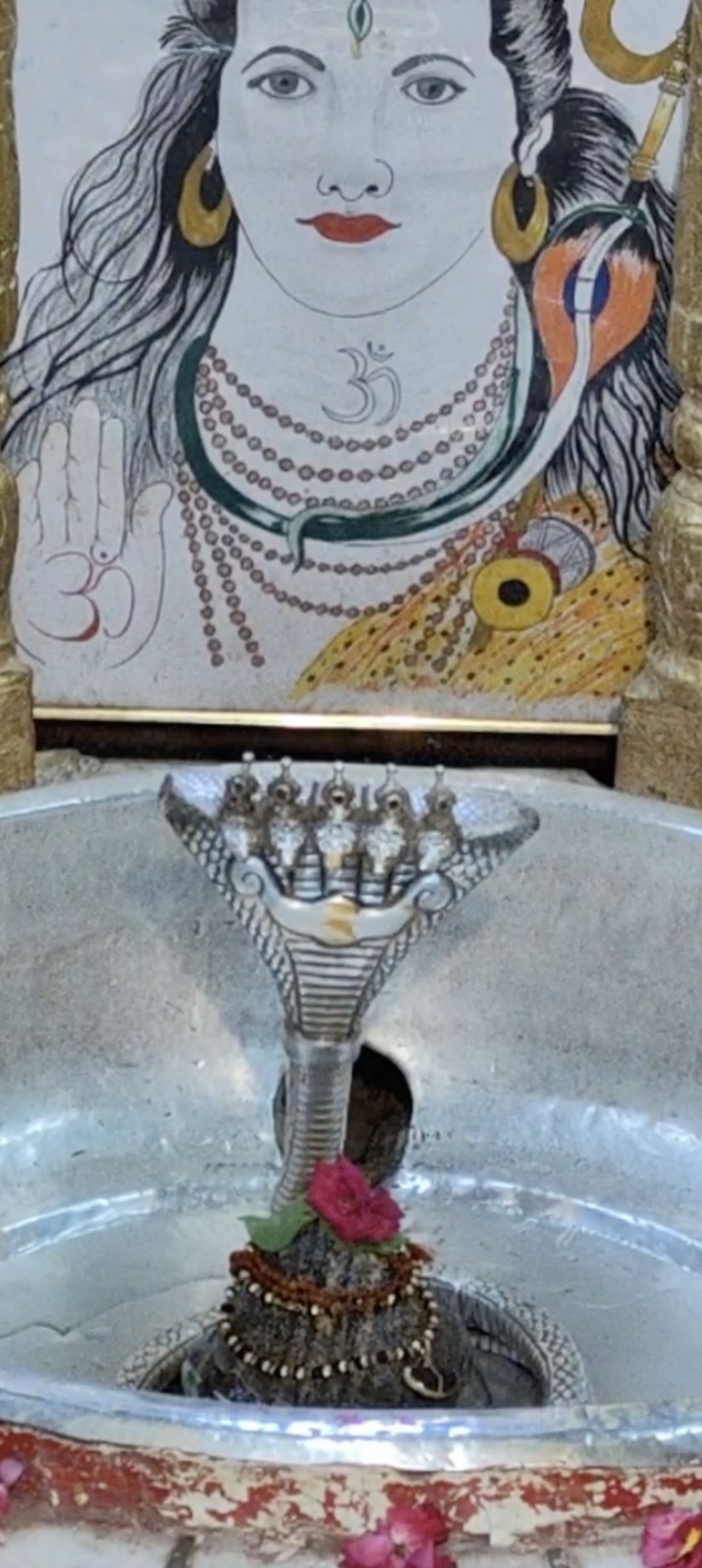Rudrabhishek to Shree Kubereshwar Mahadev