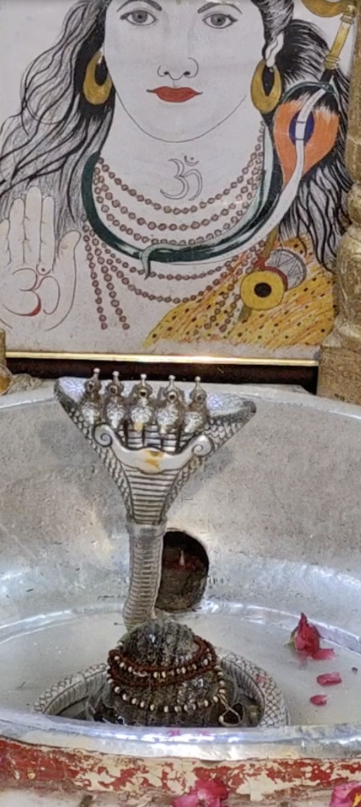 Rudrabhishek to Shree Kubereshwar Mahadev