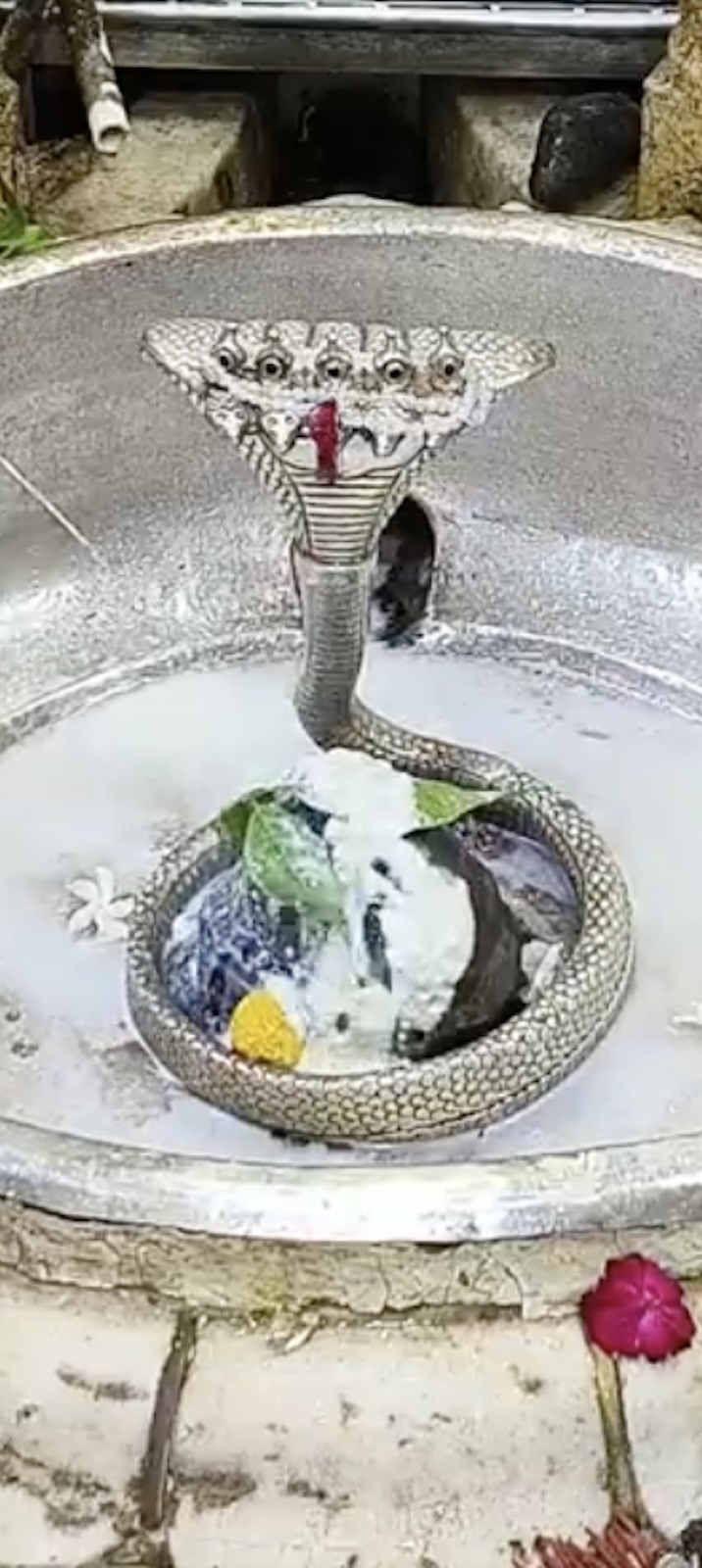 Rudrabhishek to Shree Kubereshwar Mahadev