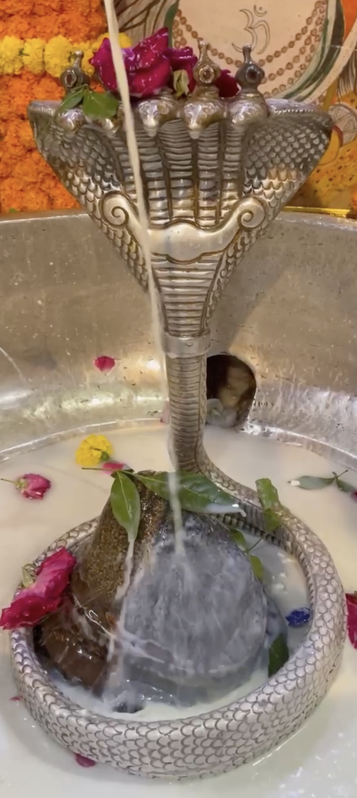 Rudrabhishek to Shree Kubereshwar Mahadev