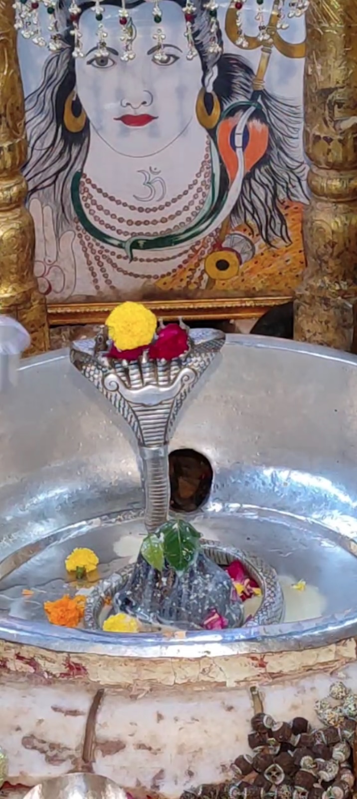 Rudrabhishek to Shree Kubereshwar Mahadev