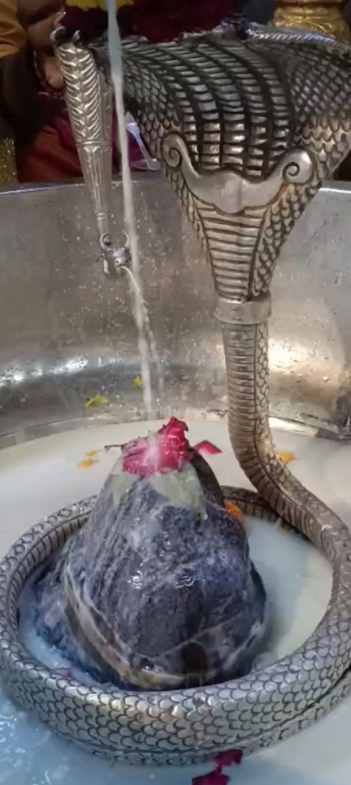 Rudrabhishek to Shree Kubereshwar Mahadev