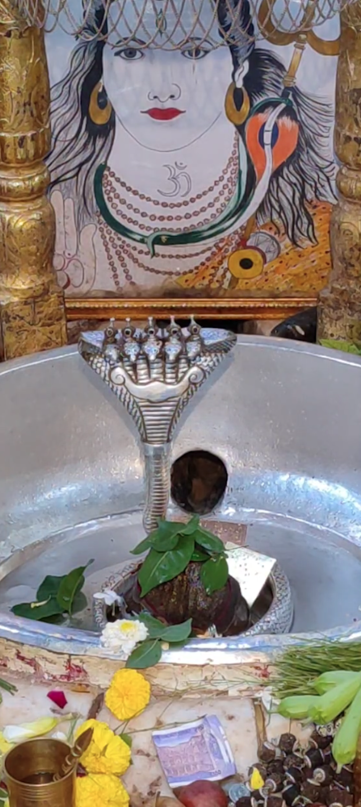 Rudrabhishek to Shree Kubereshwar Mahadev