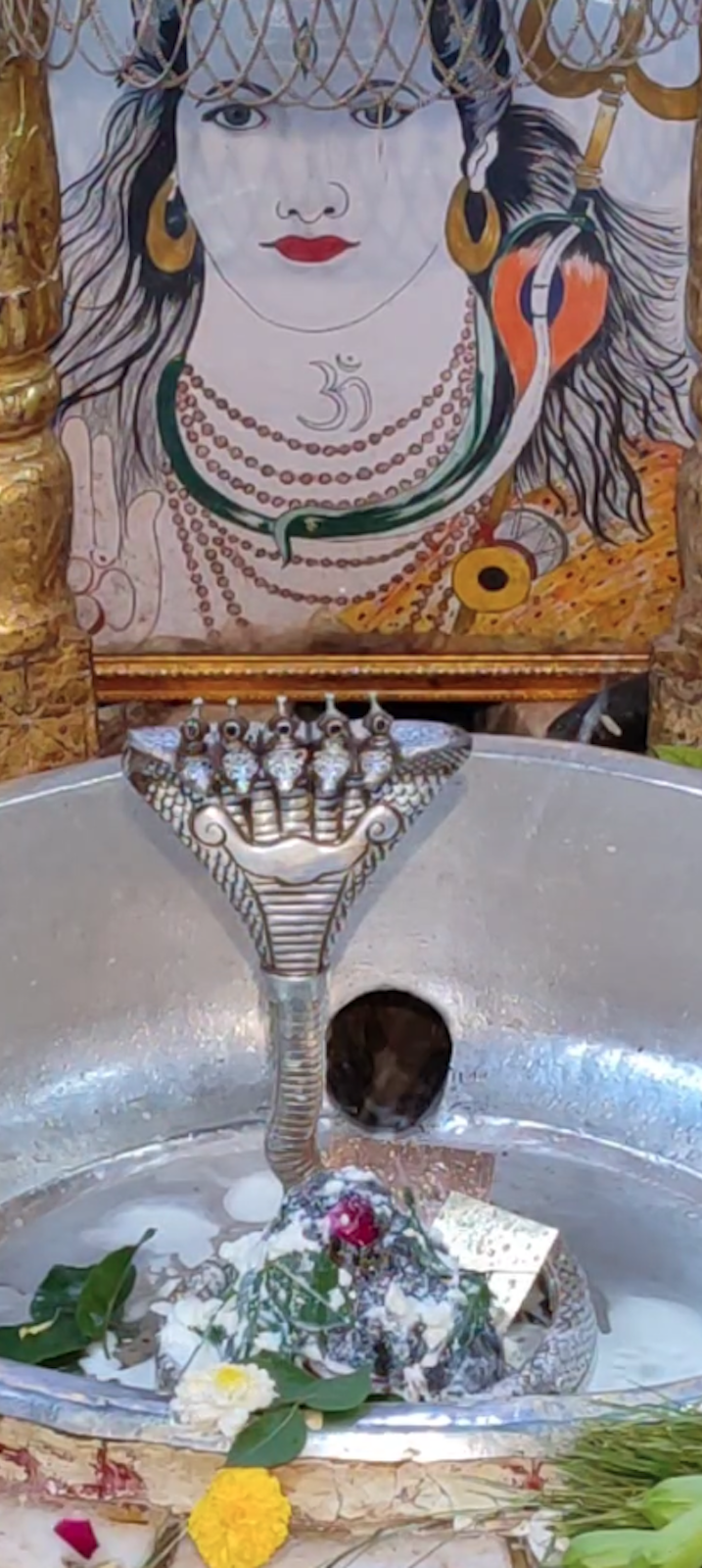 Rudrabhishek to Shree Kubereshwar Mahadev