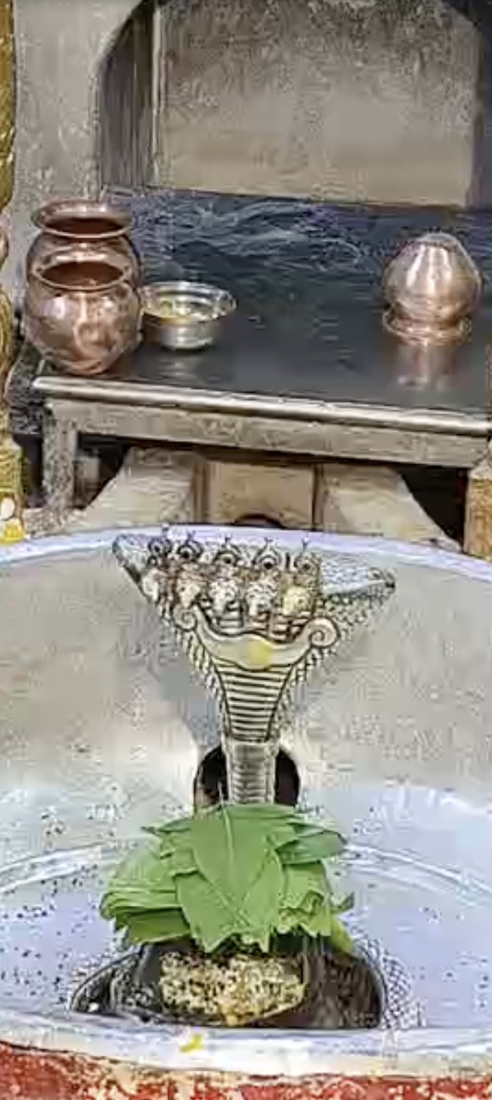 Rudrabhishek to Shree Kubereshwar Mahadev
