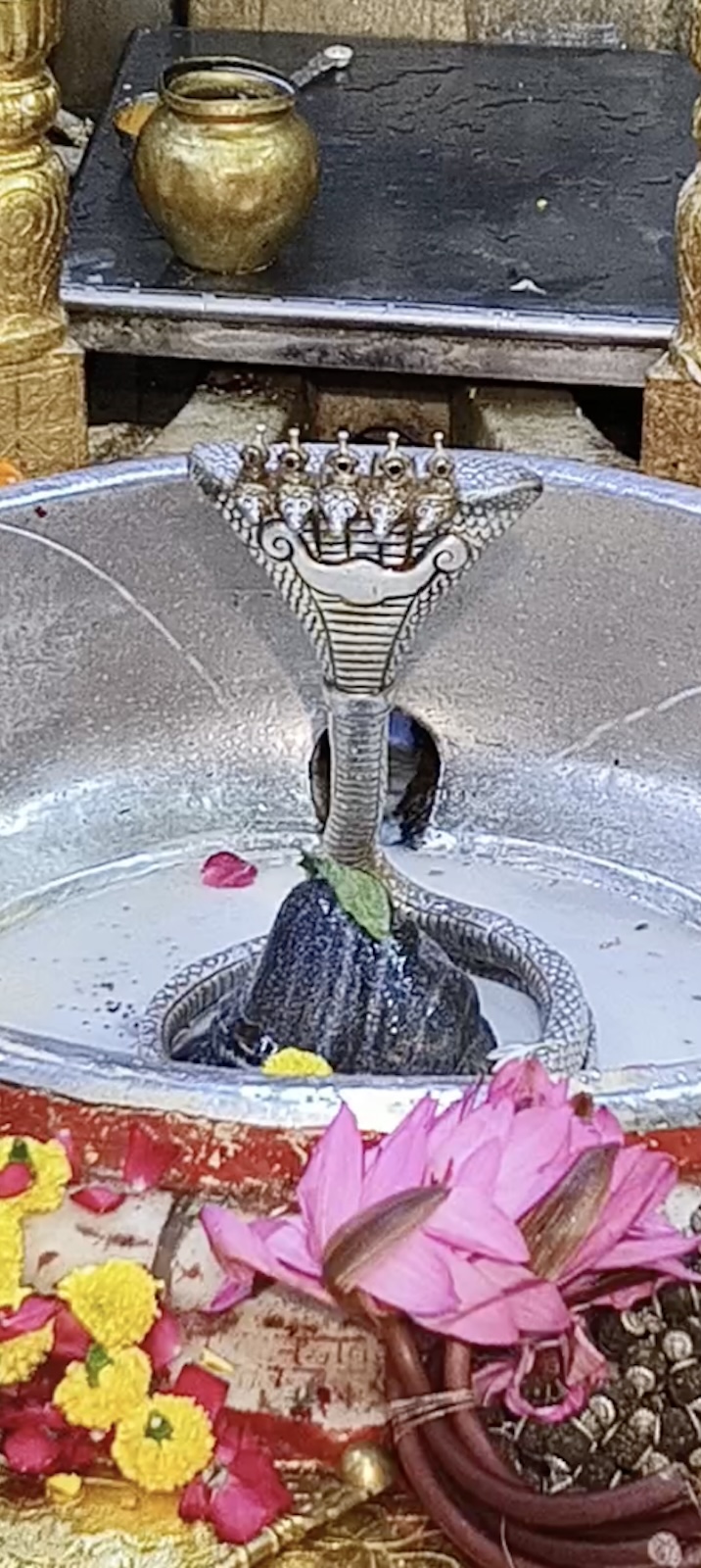 Rudrabhishek to Shree Kubereshwar Mahadev