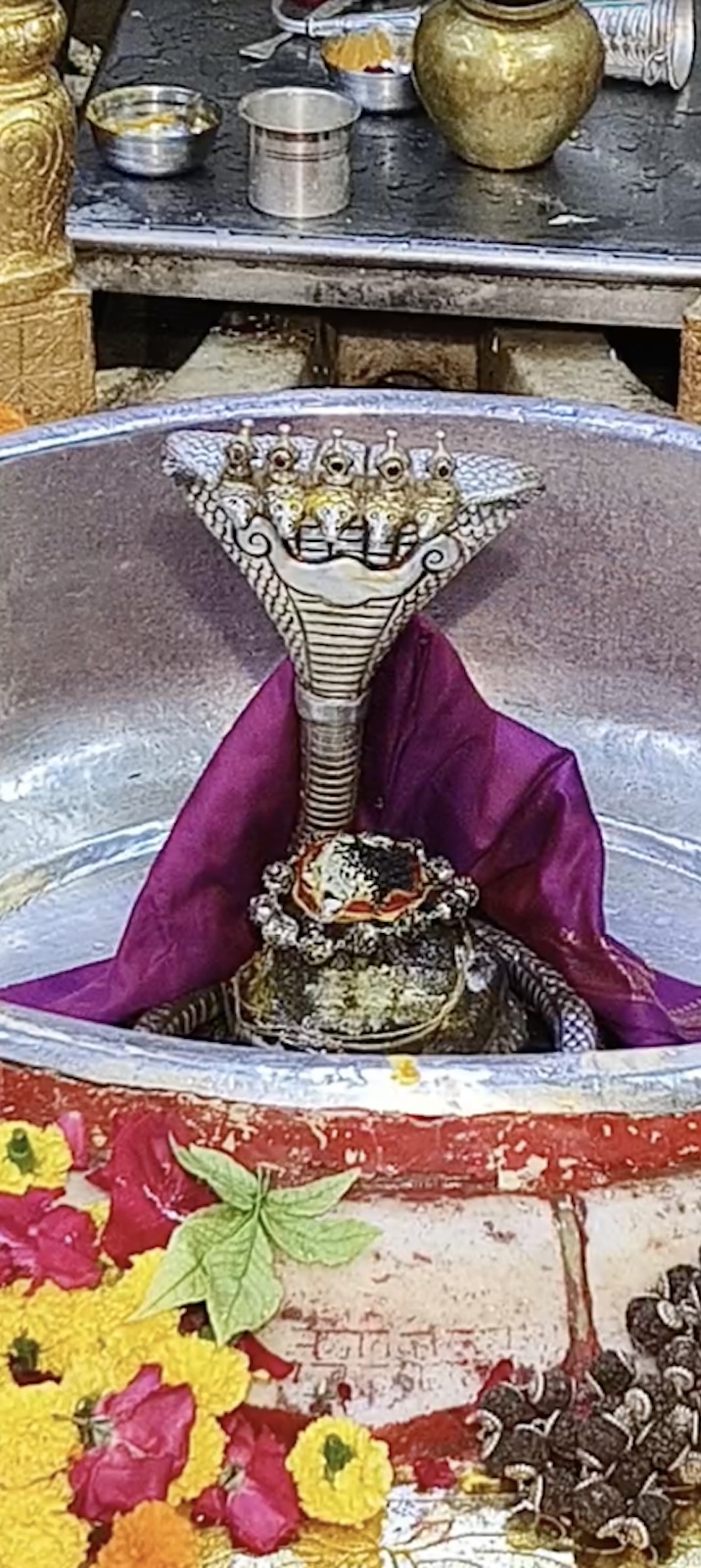 Rudrabhishek to Shree Kubereshwar Mahadev