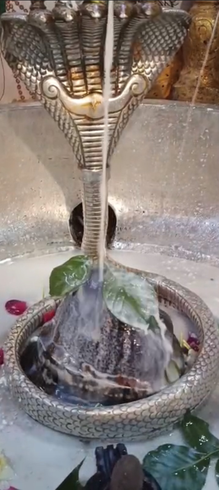 Rudrabhishek to Shree Kubereshwar Mahadev