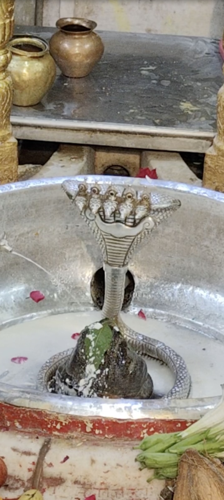 Rudrabhishek to Shree Kubereshwar Mahadev