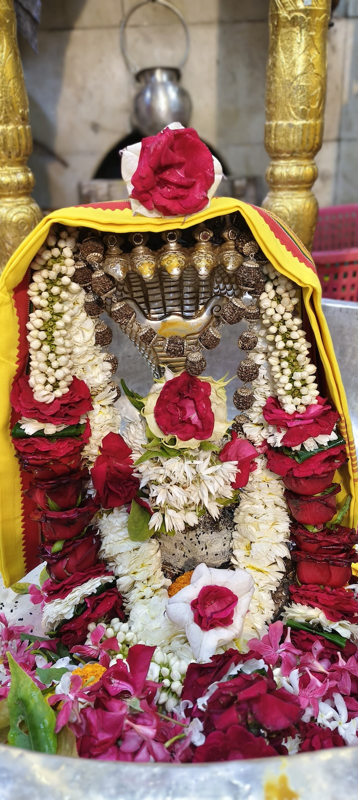 Rudrabhishek to Shree Kubereshwar Mahadev